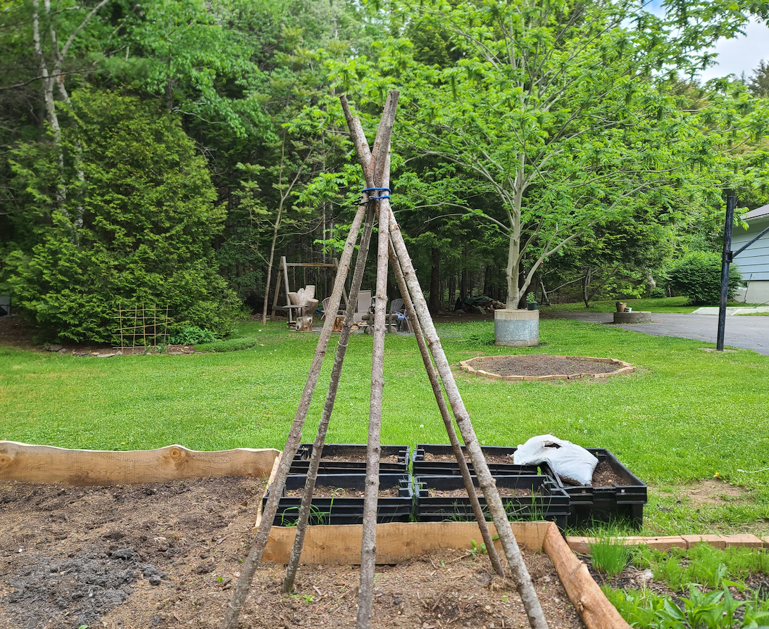 All-in-One Vine Teepee Variety Pack