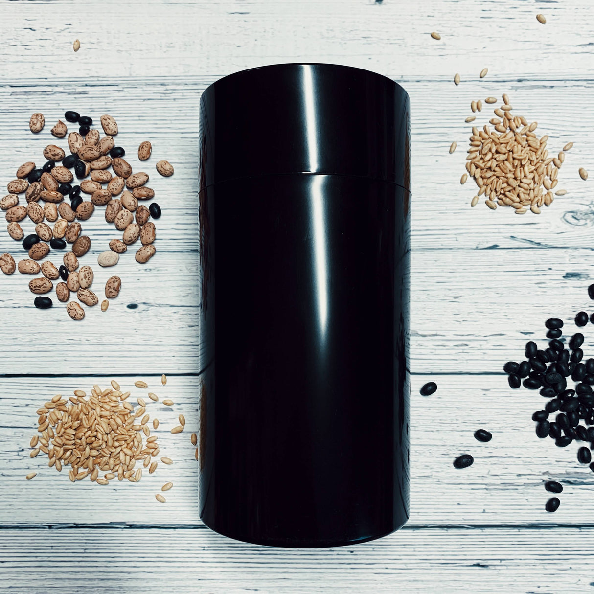 Black medium seed storage vault container surrounded by assorted seeds on wooden surface