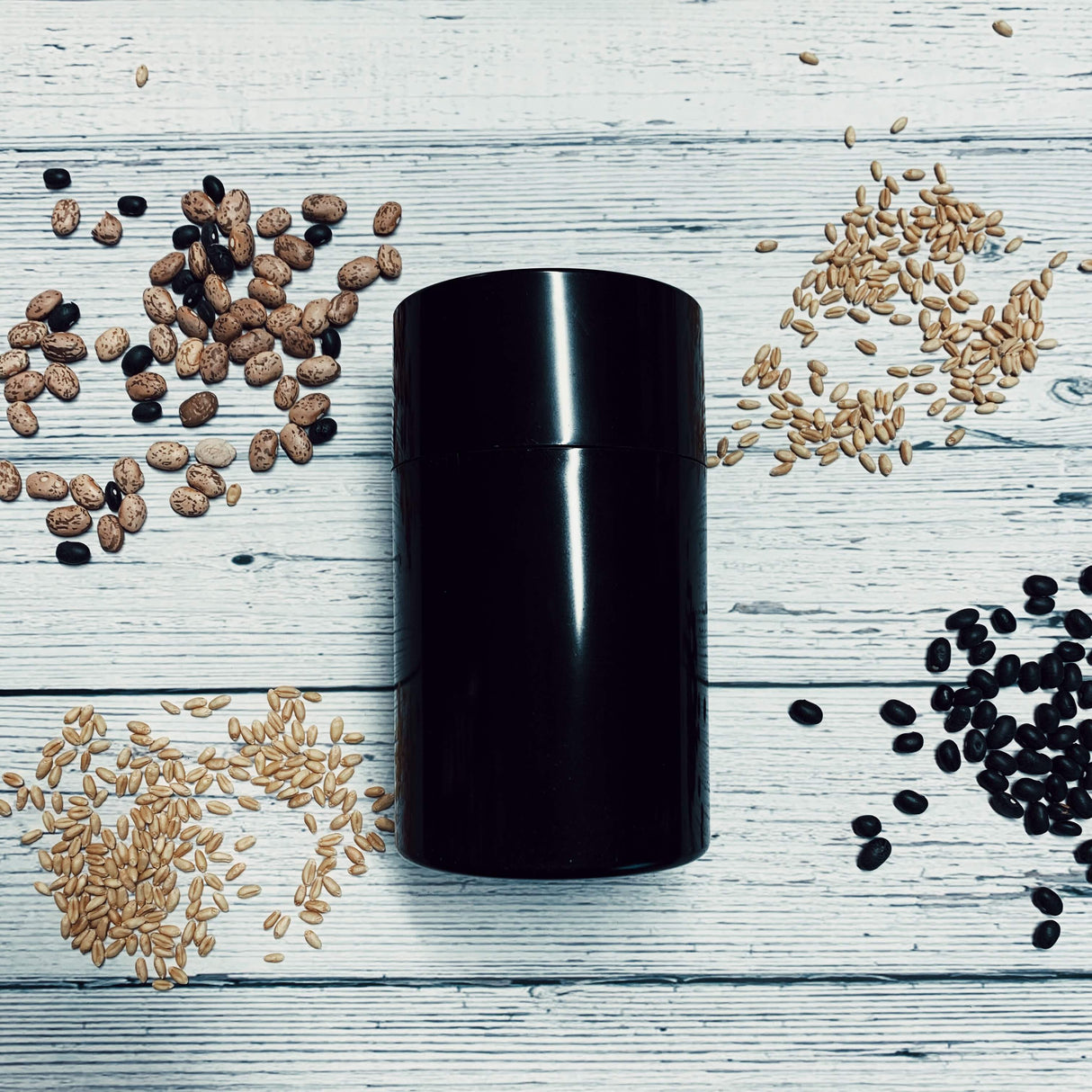 Small black seed storage vault container surrounded by various seeds on white wooden surface