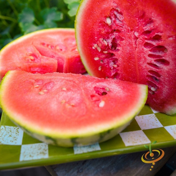 Close-up of sliced ripe Sugarbaby watermelon with red flesh and seeds on a green checkered plate