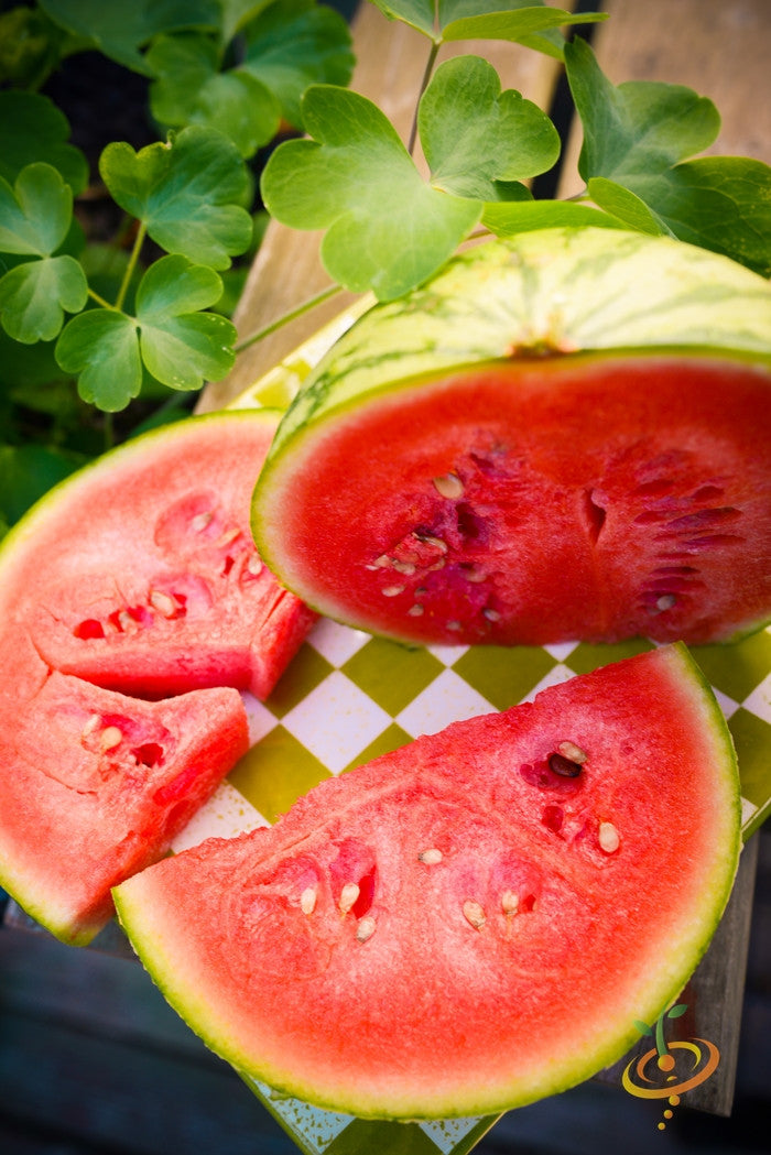 Sliced Sugarbaby watermelon showing red flesh and black seeds on patterned surface with green leaves background
