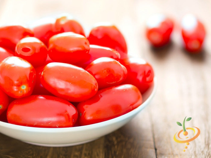 Roma determinate tomato seeds from SeedsNow, shown in a clear image with vibrant green seedlings and mature red tomatoes.