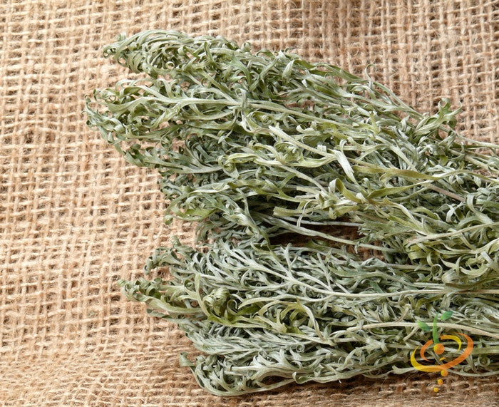 Dried wormwood plant herbs on burlap background for medicinal use