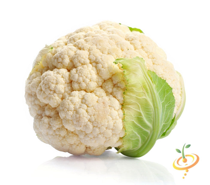 White cauliflower head with green leaves isolated on white background for cauliflower seeds promotion