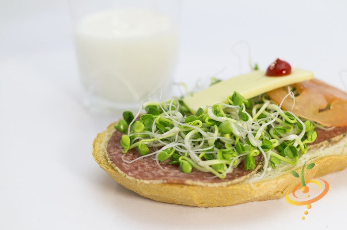 Open sandwich topped with salami, cheese, sprouts, and tomato with a glass of milk in the background