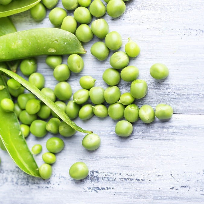 Fresh Cascadia Sugar snap peas from SeedsNow, vibrant green pea pods showing crisp, edible snap peas inside.