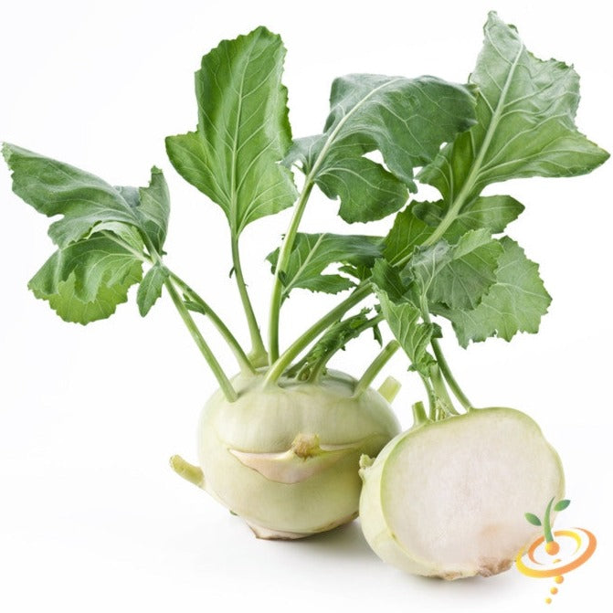 Kohlrabi Delicatesse white variety with fresh green leaves and sliced bulb showing interior