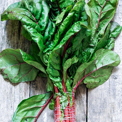 Swiss Chard Hot Pink Seeds | Easy-to-Grow & Rich in Nutrients