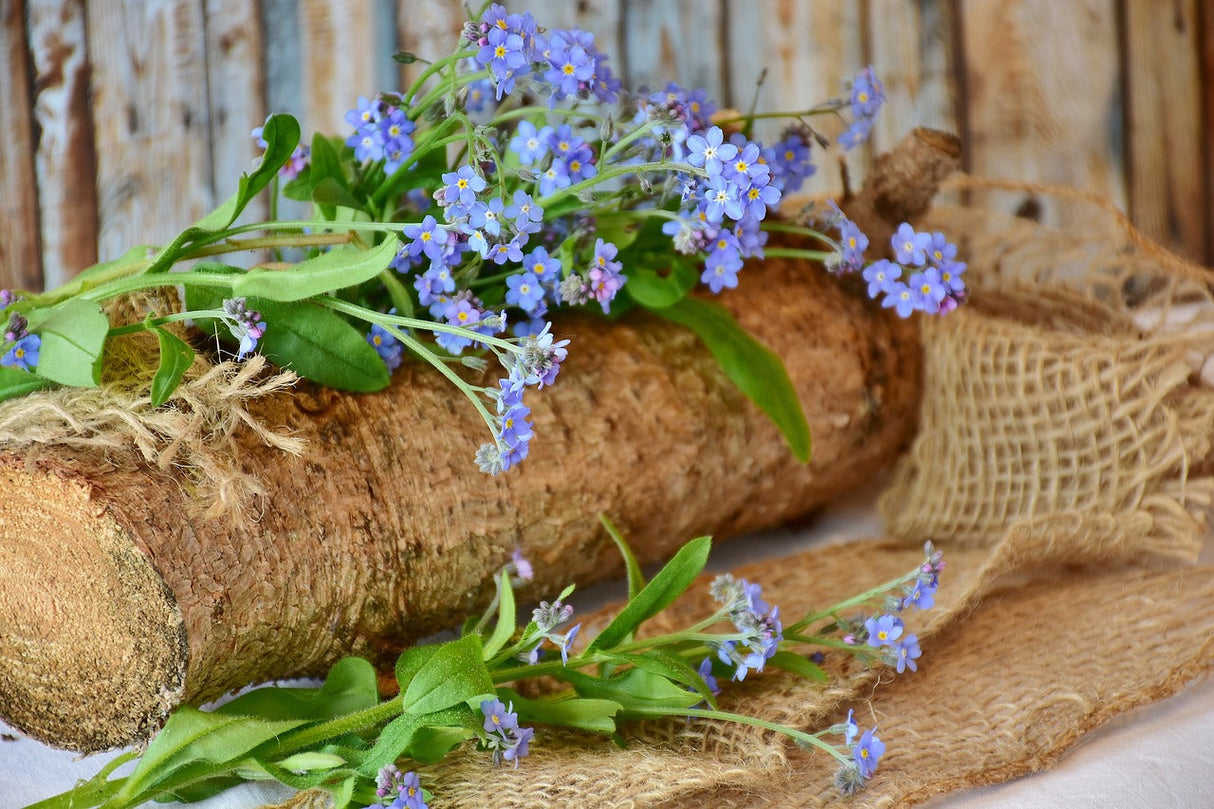 Wildflowers Blues Brothers seed mix featuring vibrant forget-me-nots, ideal for colorful wildflower gardens.