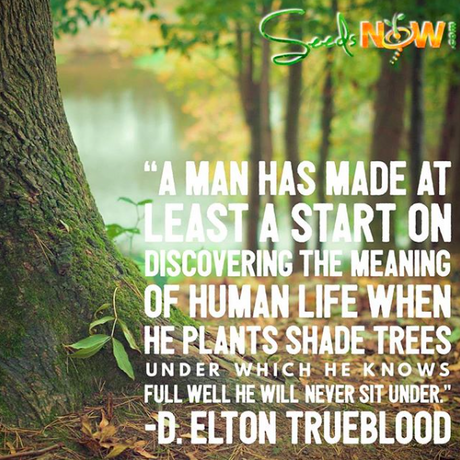 Inspirational Gardening Quotes!