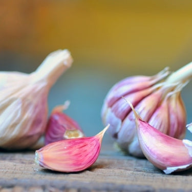 *NEW!* All-in-One Organic Garlic Variety Pack