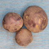Potato (Mid-Season) - Huckleberry Gold (Organic rounds) *pre-order*