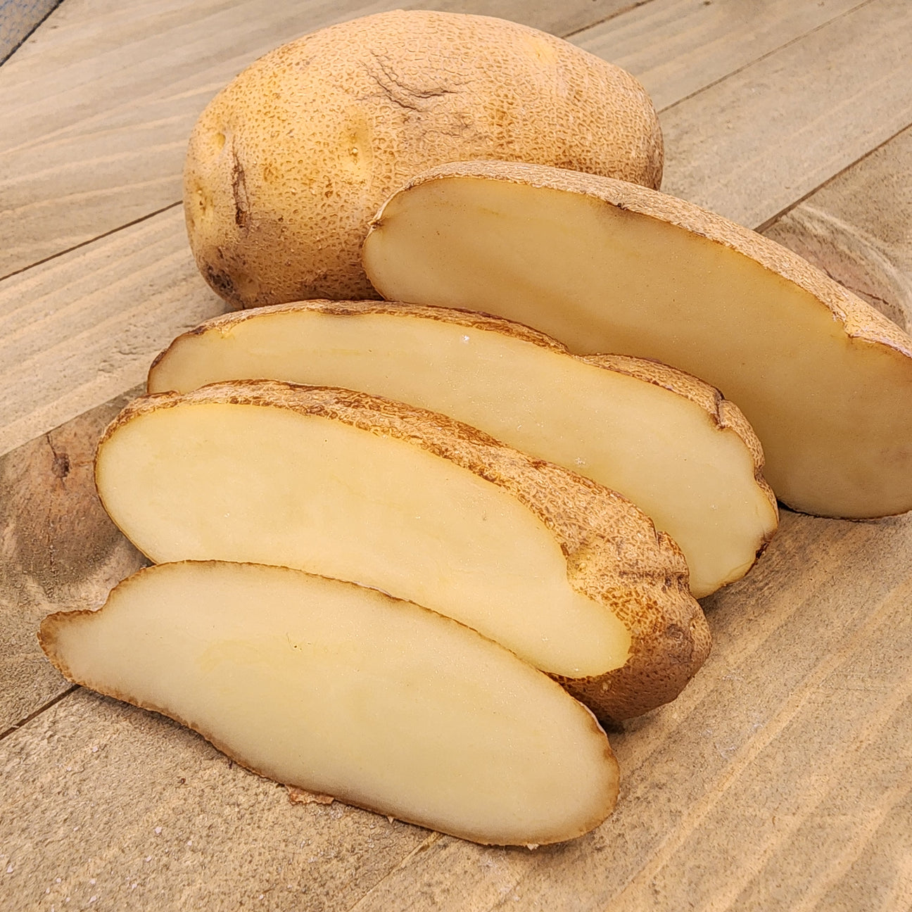 Organic Russet Burbank potato seed from SeedsNow-Potatoes, mid-season variety with round, earthy-colored tubers.