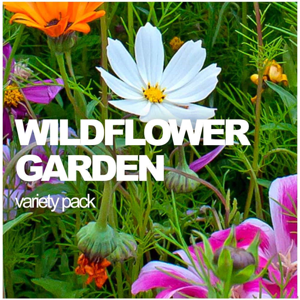 All-in-One Wildflowers and Pollinators seed pack from SeedsNow-SeedBanks, showcasing colorful wildflower and pollinator seeds.
