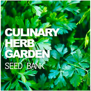 All-in-One Culinary Herb Garden Seed Bank by SeedsNow-SeedBanks with various herb seed packets on a wooden surface.