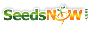 Pandectes Logo (Image)