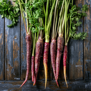 Purple carrot seeds from SeedsNow, showing 7-inch long carrot seeds with vibrant purple color and textured surface.