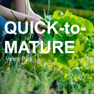 Assorted vegetable seeds in a variety pack from SeedsNow-SeedBanks, designed for quick germination in 45 days or less.