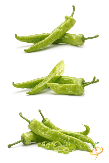 Spicy Big Jim hot pepper seed packet from SeedsNow, showcasing vibrant green and red peppers on the seed packaging.