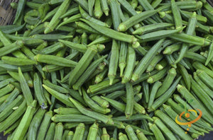 Okra - Dwarf Long Pod.