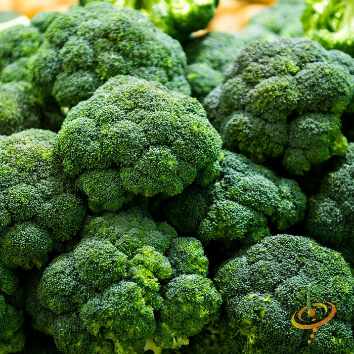 Fresh green Calabrese broccoli seeds from SeedsNow, showing vibrant seed packets for planting and gardening.