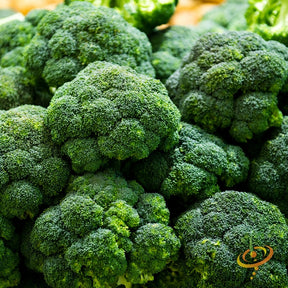 Fresh green Calabrese broccoli seeds from SeedsNow, showing vibrant seed packets for planting and gardening.