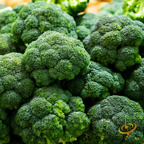 Broccoli - Calabrese.