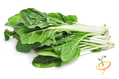 Fresh Swiss chard leaves from SeedsNow Fordhook Giant seeds, showcasing vibrant green stalks and broad leafy greens.