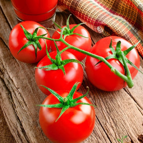 Bright image of Bonny Best indeterminate tomato seeds from SeedsNow, showing seed packets with colorful tomato illustrations.