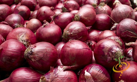 Red Burgundy onion seeds from SeedsNow, small dark red seed packets for planting red short-day onion bulbs.