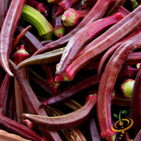 Red Burgundy okra seeds from SeedsNow, close-up of seed clusters with reddish-brown coloration.