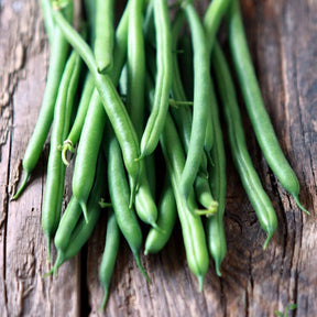 Kentucky Wonder pole bean seeds from SeedsNow, showing brown seeds ready for planting in a garden.