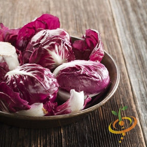 Red Radicchio seeds from SeedsNow, classic Italian chicory with vibrant red leaves, ready for planting in a garden or container.