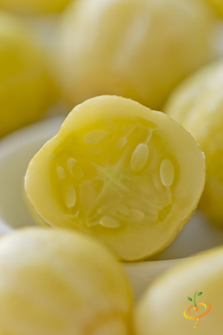 Fresh cucumber with lemon seeds, organic seed packet from SeedsNow for growing vibrant cucumbers at home.