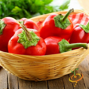 Sweet pepper Pimento seeds from SeedsNow, showing small, round seeds ideal for planting sweet pepper varieties.