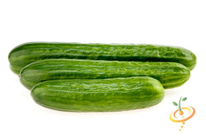 Cucumber - Tendergreen Burpless.