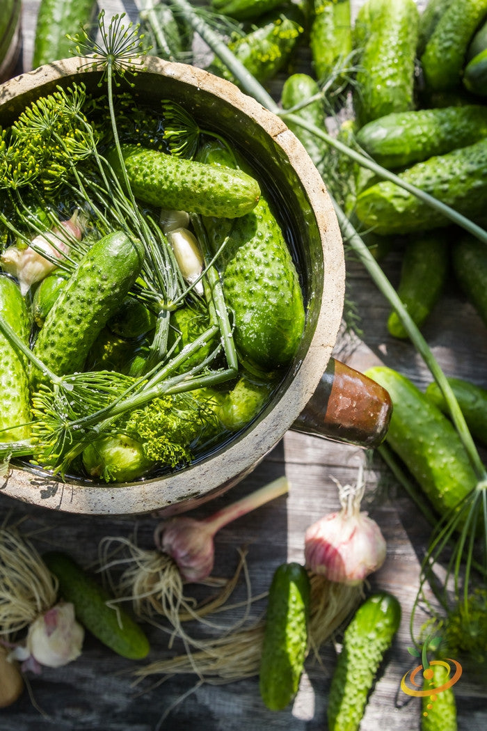 Cucumber - Homemade Pickles.