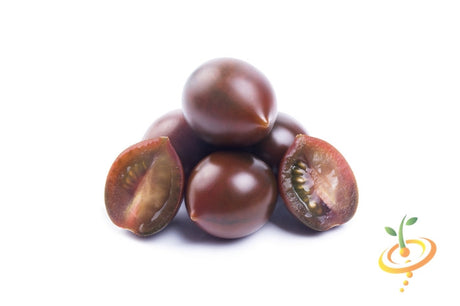 Black Cherry Tomato seeds from SeedsNow, indeterminate variety, showing vibrant ripe black cherry tomatoes on the vine.