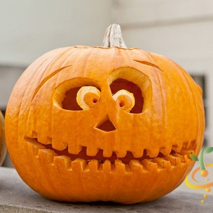 Pumpkin - Jack O' Lantern - SeedsNow.com