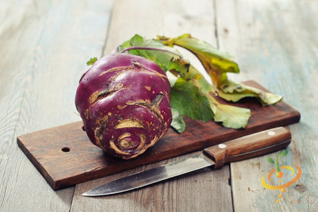 Purple Kohlrabi seedling from SeedsNow, showcasing vibrant purple leaves and fresh green stems on a gardening background.