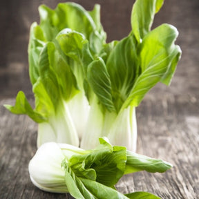 Fresh bok choy cabbage from SeedsNow, showing green leafy Chinese pak choy with crisp stalks and vibrant leaves.