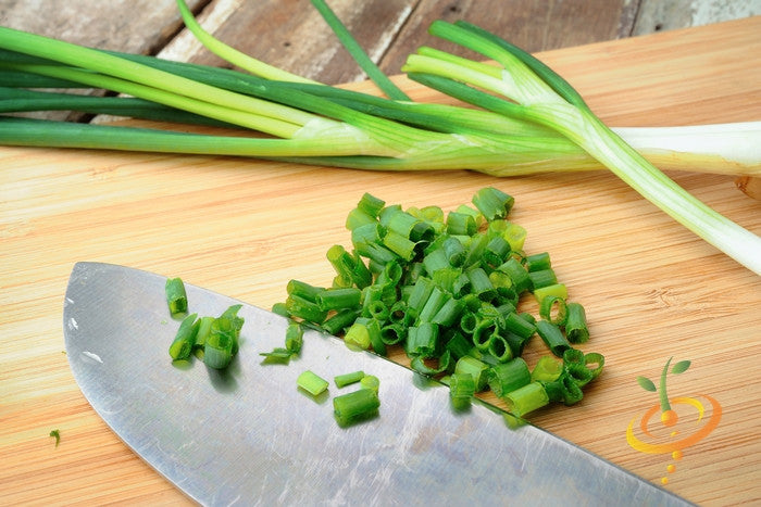 Onion - Tokyo Long White (Bunching).