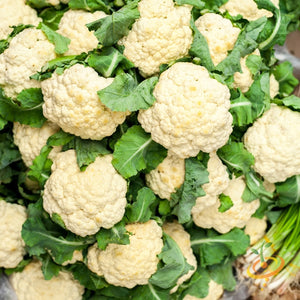 Cauliflower - All Year Round.