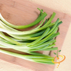Bunch of onion Evergreen seeds from SeedsNow, ready for planting, with green tops and bulbous roots visible.
