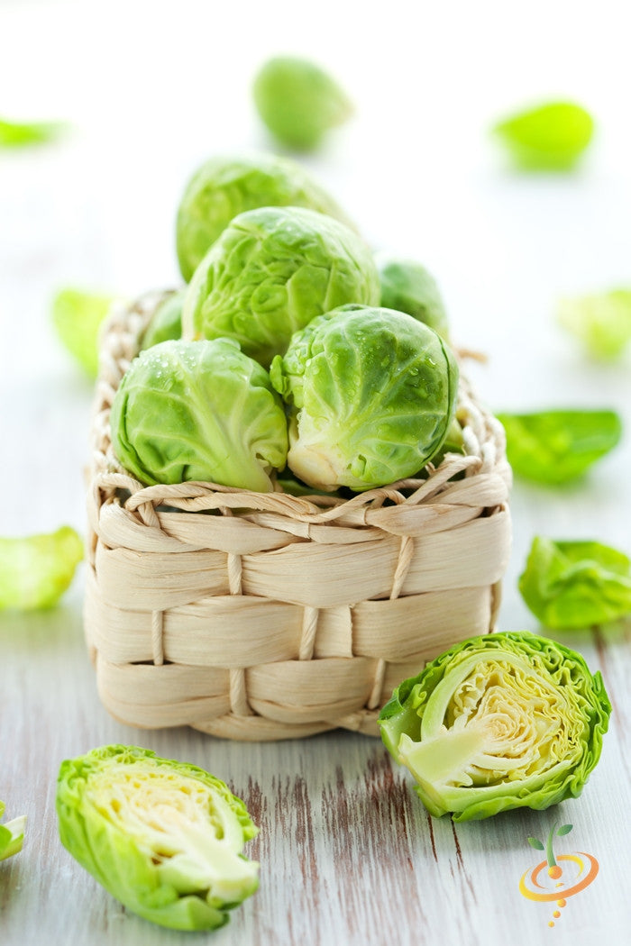 Brussels Sprouts - Long Island Catskill.