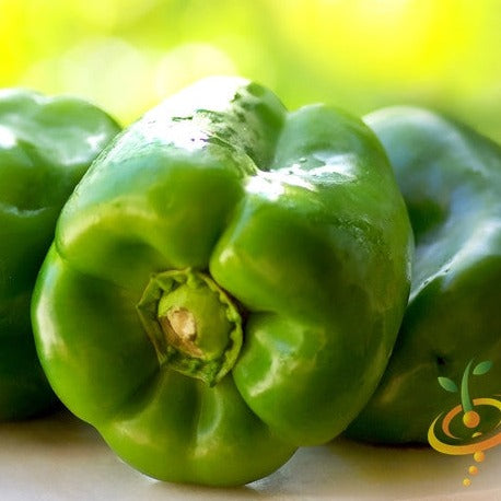 Yolo Wonder sweet pepper seeds from SeedsNow, close-up of vibrant green pepper seeds and fresh peppers on a plant.