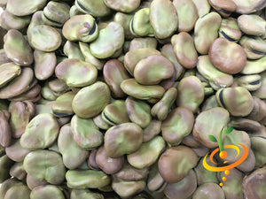 Bean (Fava/Pole) - Broad Windsor.