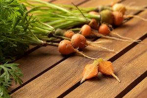 Carrot - Paris Market, 2" Round - SeedsNow.com