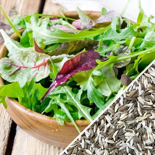 Lettuce - Gourmet/Mesclun Mix.