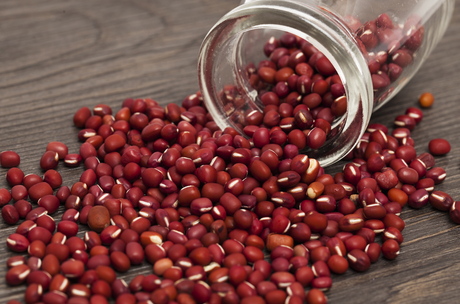 Adzuki bean sprouts from SeedsNow, fresh microgreens with vibrant green shoots, ideal for salads and garnishes.